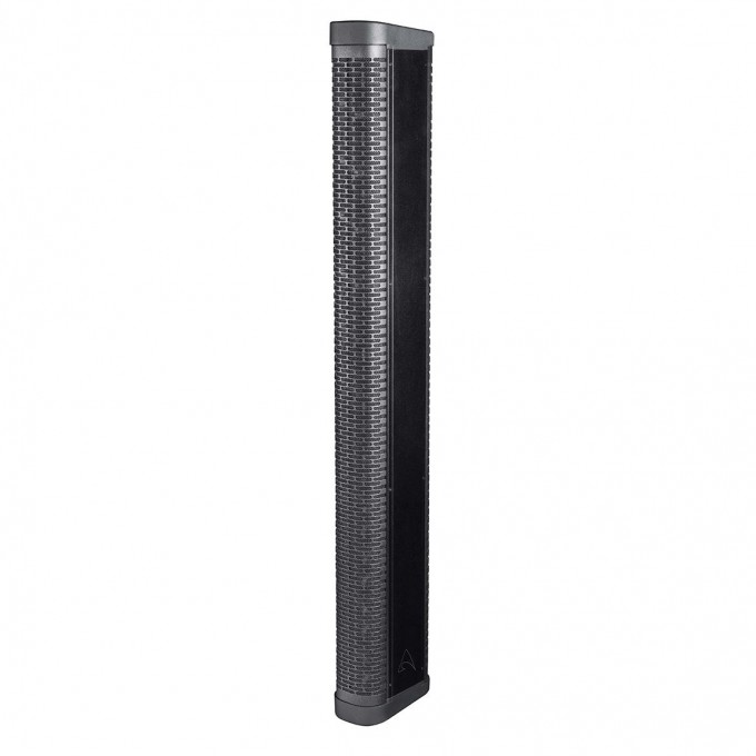 Пассивная акустическая система AXIOM AX12C 72017