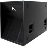 Пассивный сабвуфер AXIOM SW121HLP 72029