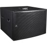 Пассивный сабвуфер AXIOM SW2100P 72031
